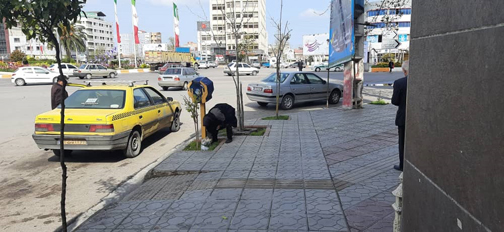 اقدام طبیعت‌گرایانه‌ی بانوی ساروی