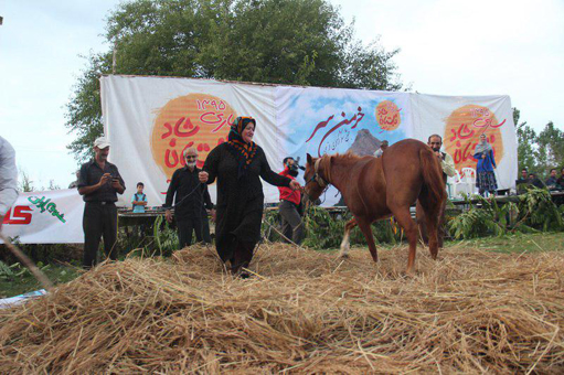 جشن خرمن سر برگزار شد